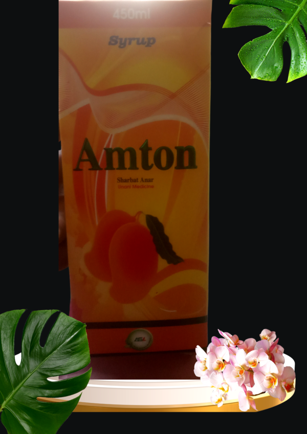 AMTON 450 ML